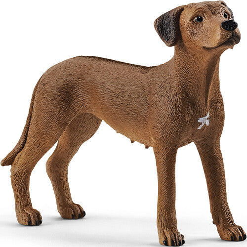 Schleich Rhodesian Ridgeback dierenfiguurtje staand, van de zijkant gefotografeerd.