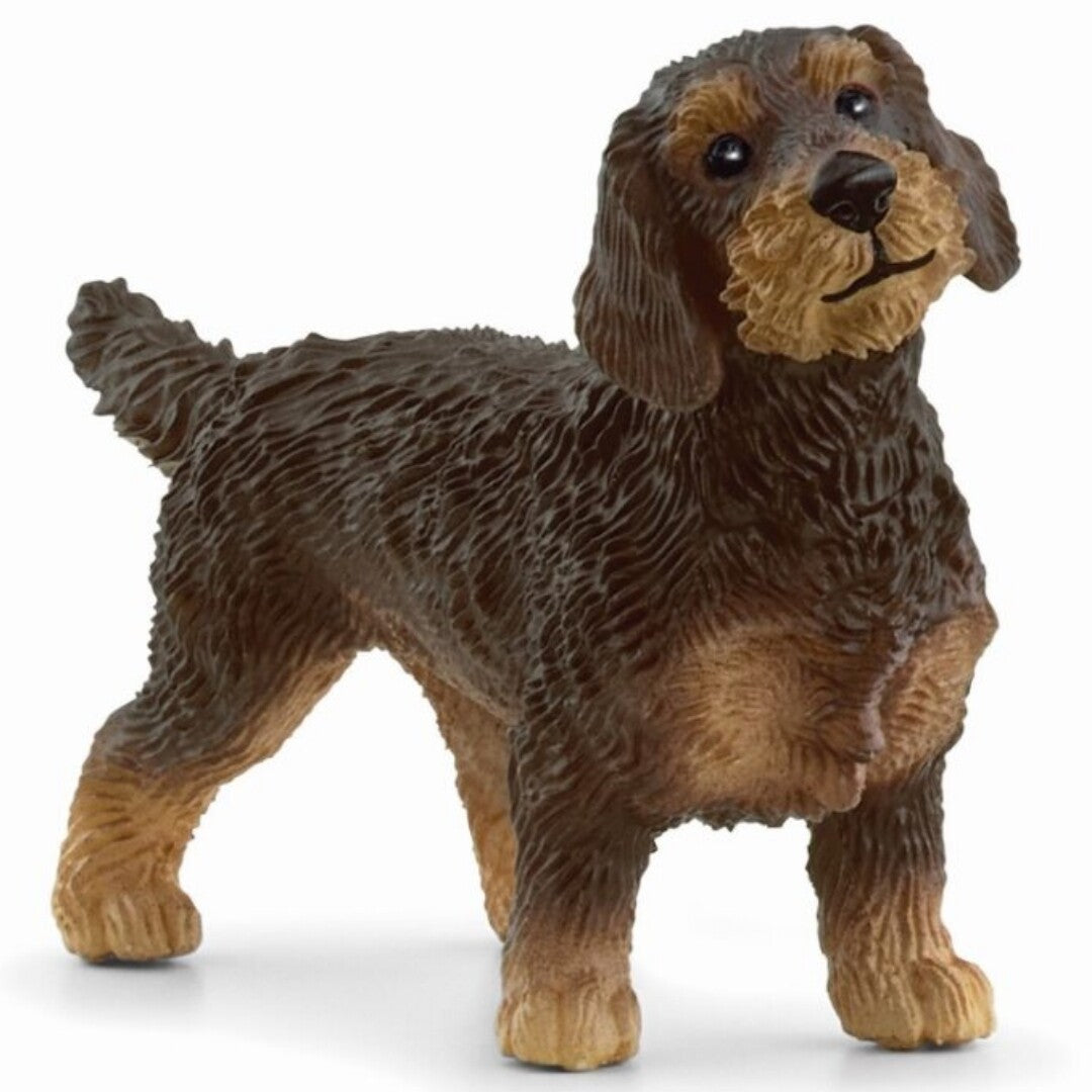 Schleich dierenfiguurtje van een bruine ruwharige teckel, staand op een witte achtergrond.