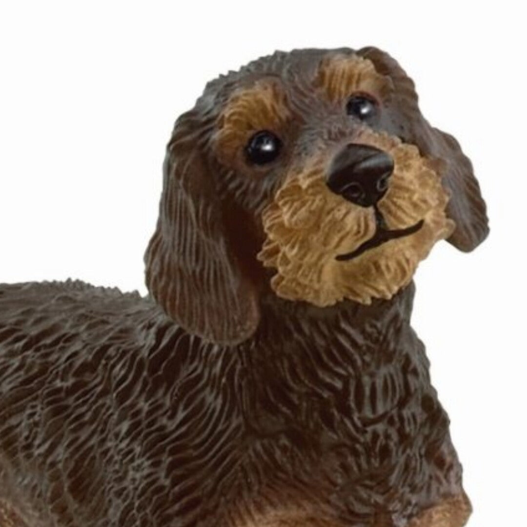 Detailopname van het hoofd en de bovenkant van het Schleich dierenfiguurtje van een bruine ruwharige teckel.