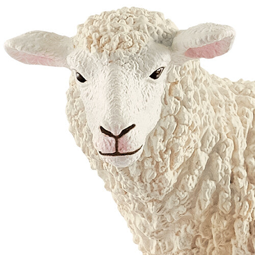 Detailopname van de kop en vacht van het Schleich schaap dierenfiguurtje.