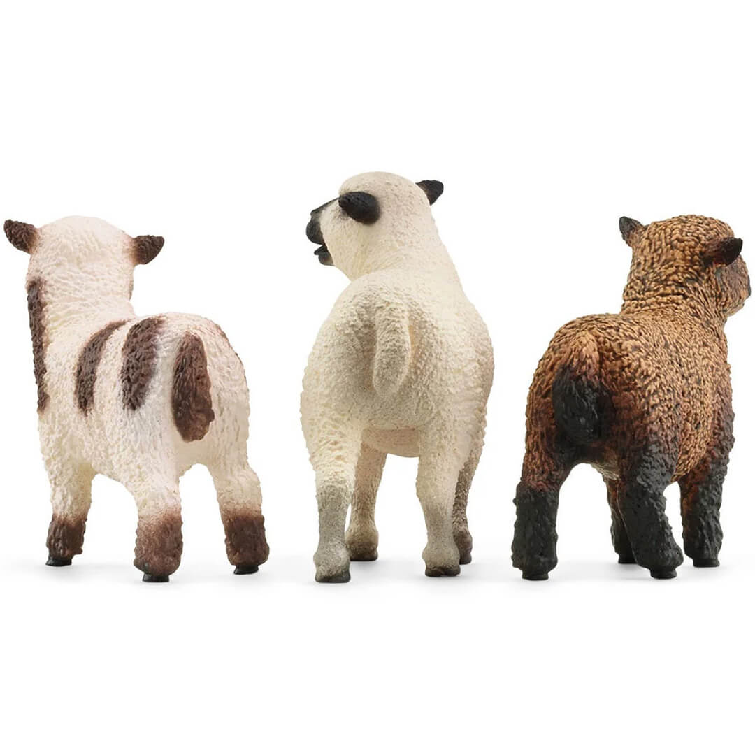 Schleich dierenfiguurtjes van een wit schaap, een bruin lam en een wit met bruin gevlekt lam, van achteren gezien.