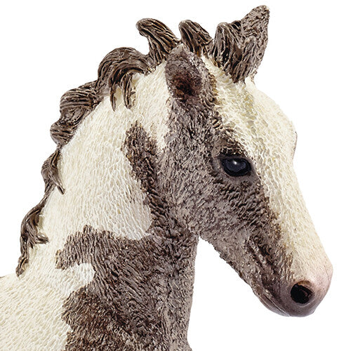 Detailfoto van de kop en nek van het Schleich tinker veulen met bruine en witte vlekken.