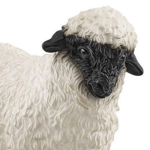 Detailopname van de zwarte kop en de witte vachttextuur van het Schleich Walliser zwartneusschaap.