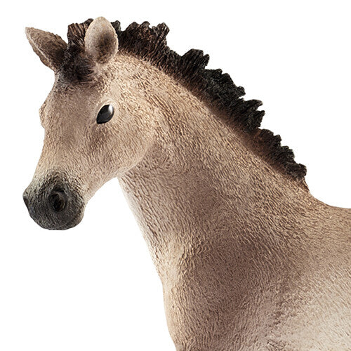 Detailopname van de kop van het Schleich Andalusiër veulen.