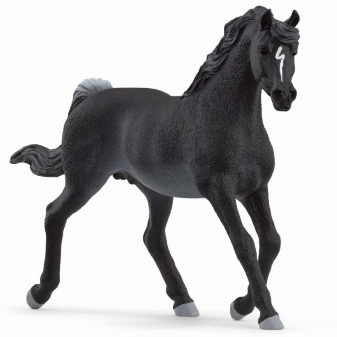 Schleich dierenfiguurtje van een zwarte Arabische hengst met witte bles en lichtgrijze hoeven.