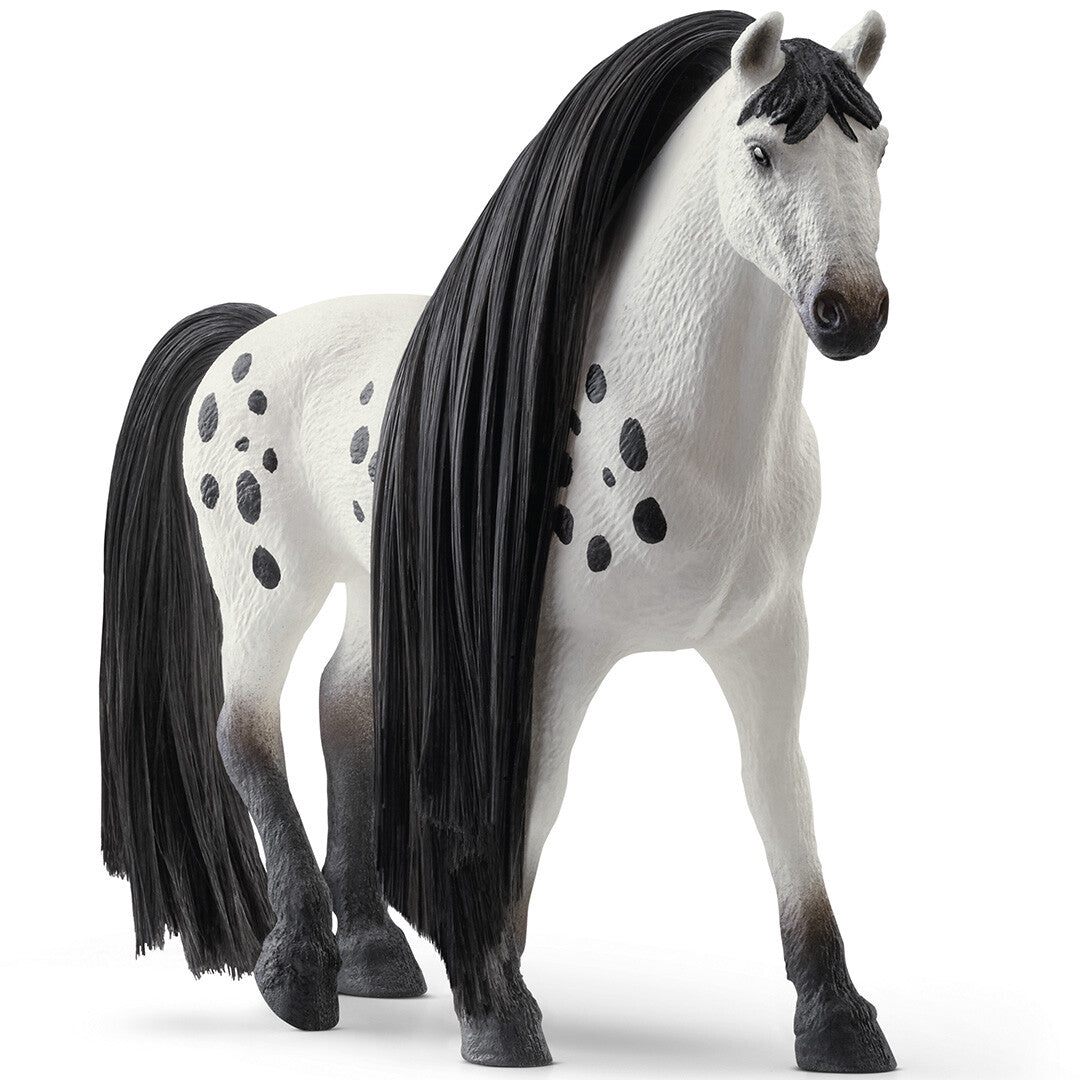 schleich Knabstrupper hengst speelgoedfiguur met witte vacht met zwarte stippen en lange zwarte manen.