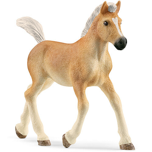 Schleich Haflinger veulen dierenfiguurtje, beige met witte manen en staart.