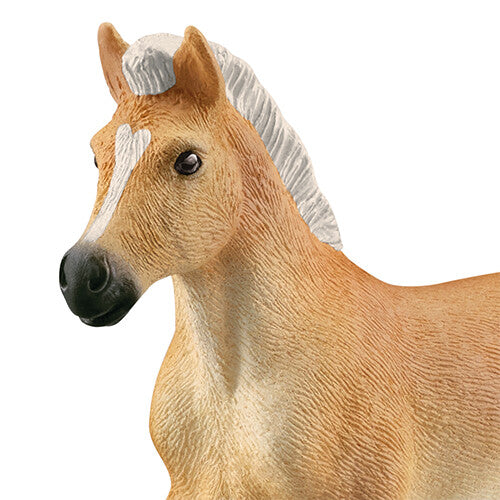 Detailopname van de kop en hals van het Schleich Haflinger veulen dierenfiguurtje.