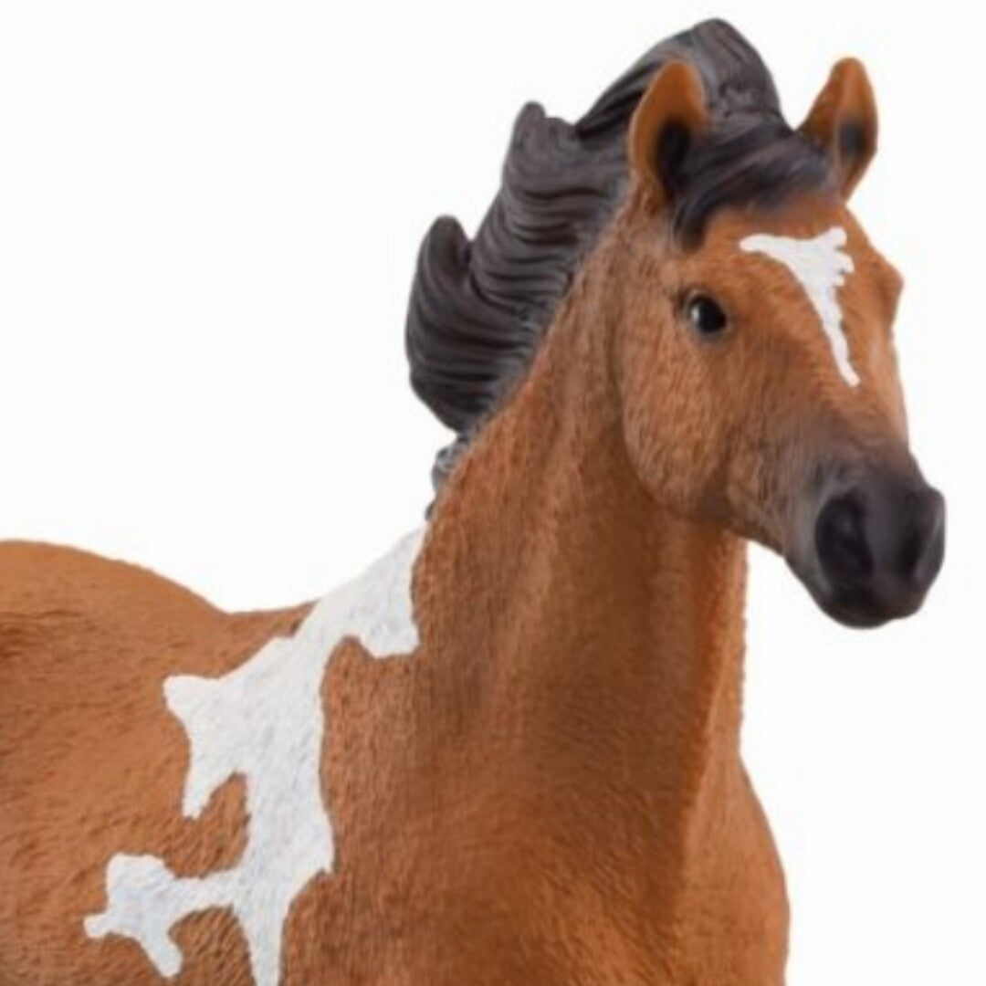 Detailopname van het hoofd en de hals van het bruine paard met witte vlekken.