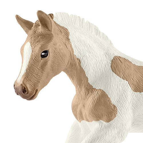 Detailopname van het hoofd en de hals van het Schleich Horse Club paint veulen speelgoedfiguur.