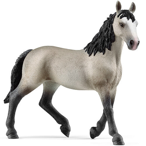 Schleich dierenfiguurtje van een staande Selle Français merrie met een grijs lichaam en zwarte manen.
