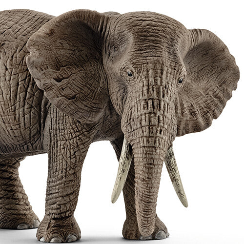 Detailopname van het Schleich dierenfiguurtje van een Afrikaanse olifantenkoe, met focus op de kop en slurf.