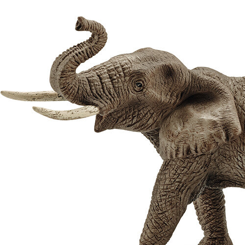 Detailopname van de kop van het Schleich dierenfiguurtje van een Afrikaanse olifantenstier.
