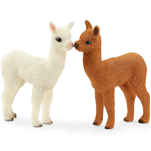 Twee Schleich alpaca veulen dierenfiguurtjes, een witte en een bruine, die elkaar aanraken met hun neuzen.