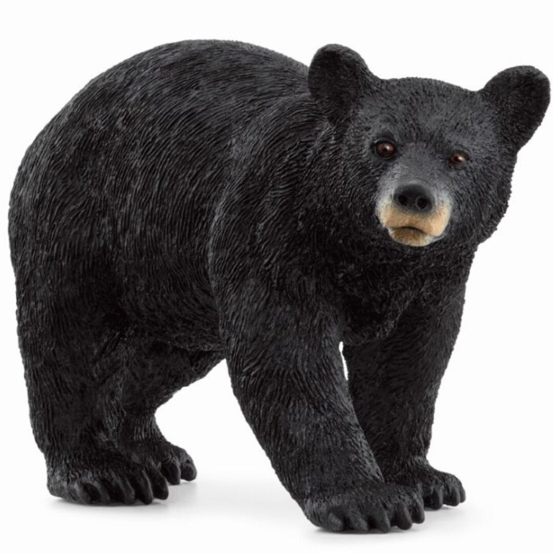 Schleich dierenfiguurtje van een zwarte beer, staand en schuin van voren gefotografeerd.