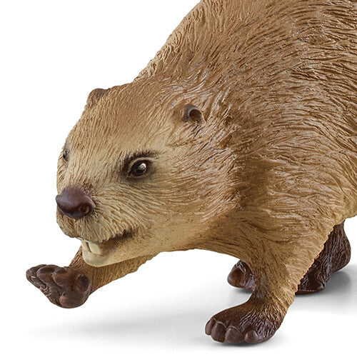 Detailopname van de kop en voorpoten van het Schleich bever dierenfiguurtje.