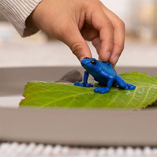 Een hand plaatst het Schleich dierenfiguurtje van de blauwe pijlgifkikker op een groen blad.