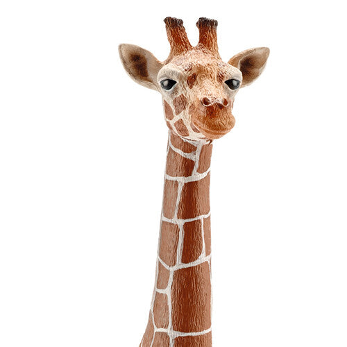 Detailopname van de kop en nek van het giraffe dierenfiguurtje.