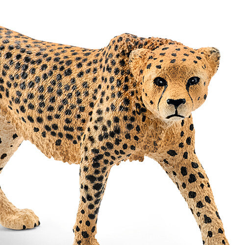 Detailopname van de kop en voorpoten van het jachtluipaard dierenfiguurtje.