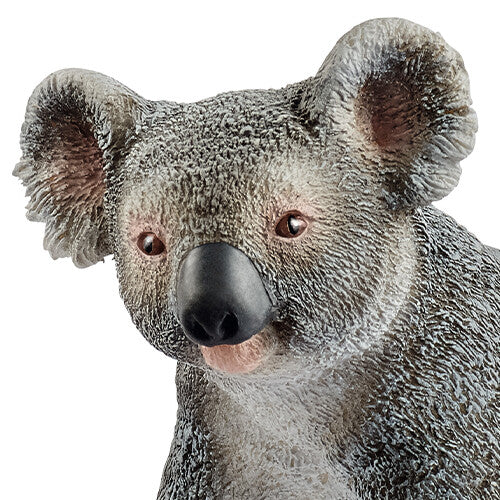 Detailopname van de kop en textuur van het Schleich wild life koala dierenfiguurtje.