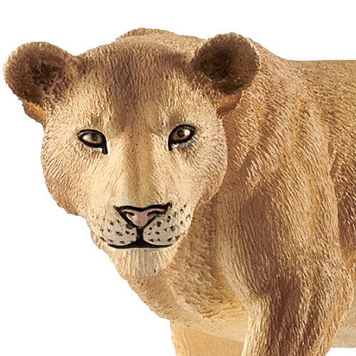 Close-up van de kop en voorpoten van het Schleich leeuwin dierenfiguurtje.