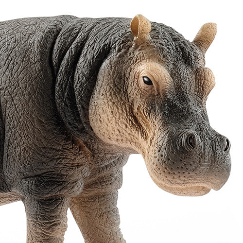 Detailfoto van de kop en voorzijde van het Schleich nijlpaard dierenfiguurtje.