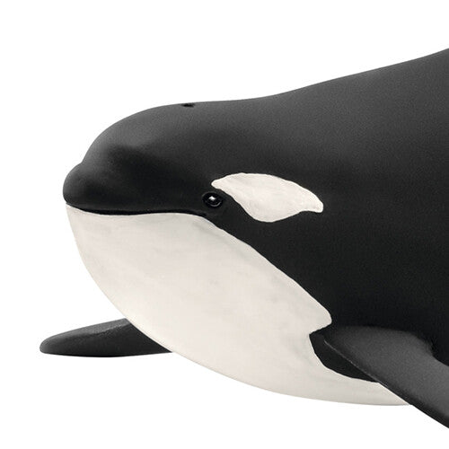 Detailfoto van de kop van het Schleich orka dierenfiguurtje.