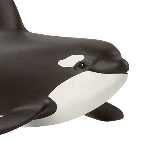 Detailopname van de kop van het orka dierenfiguurtje.