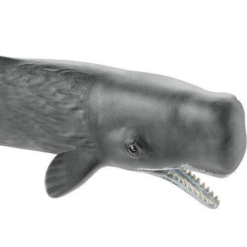Detailfoto van de kop van de Schleich potvis speelgoedfiguur, met de open bek en tanden.
