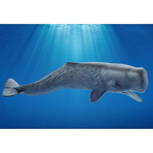 Schleich speelgoedfiguur van een potvis in een onderwateromgeving met lichtstralen.