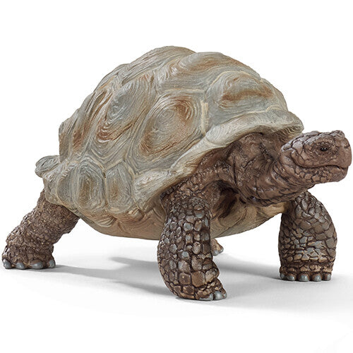 Schleich dierenfiguurtje van een beige reuzenschildpad.
