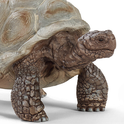 Detailfoto van de kop en voorpoten van het Schleich reuzenschildpad dierenfiguurtje.