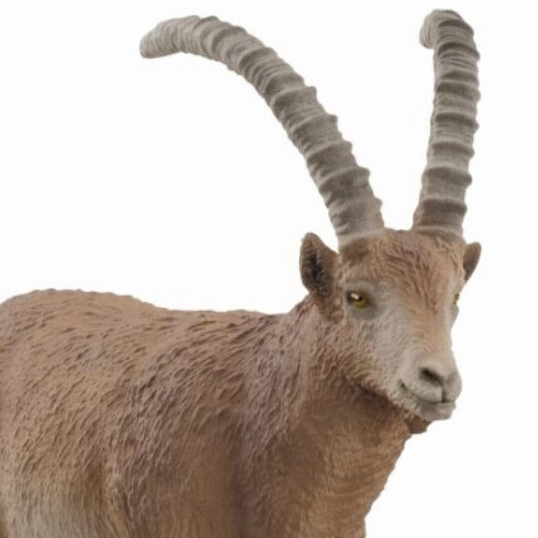 Detailfoto van het Schleich dierenfiguurtje van een bruine steenbok, met de kop en hoorns prominent in beeld.
