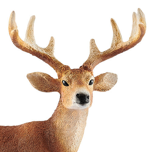 Detailopname van de kop en het gewei van het bruine witstaarthert dierenfiguurtje.