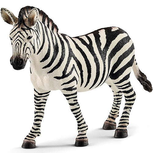 Schleich wild life zebramerrie dierenfiguurtje staand op een witte achtergrond.