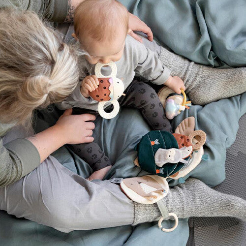 Een baby kauwt op de Sebra bijtring en rammelaar lieveheersbeestje, zittend op schoot bij een volwassene.