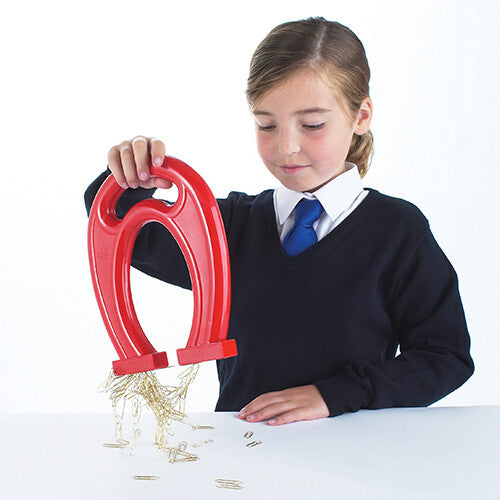 Een meisje demonstreert de Shaw magnets rode hoefijzermagneet door paperclips op te pakken.
