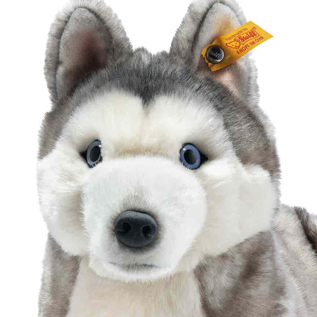 Close-up van de kop van de Steiff pluchen knuffelhond husky Bernie.