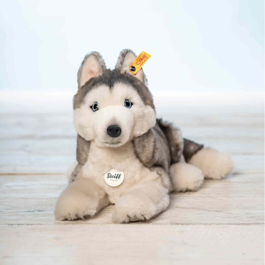 Steiff pluchen knuffelhond husky Bernie ligt op een lichte houten ondergrond.