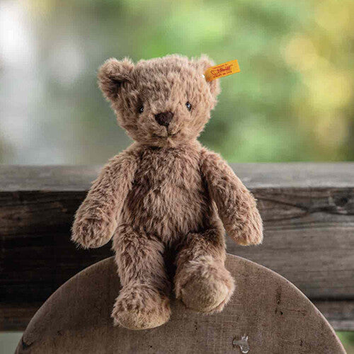 Steiff pluchen teddybeer Thommy zittend op een houten ondergrond met een vage groene achtergrond.