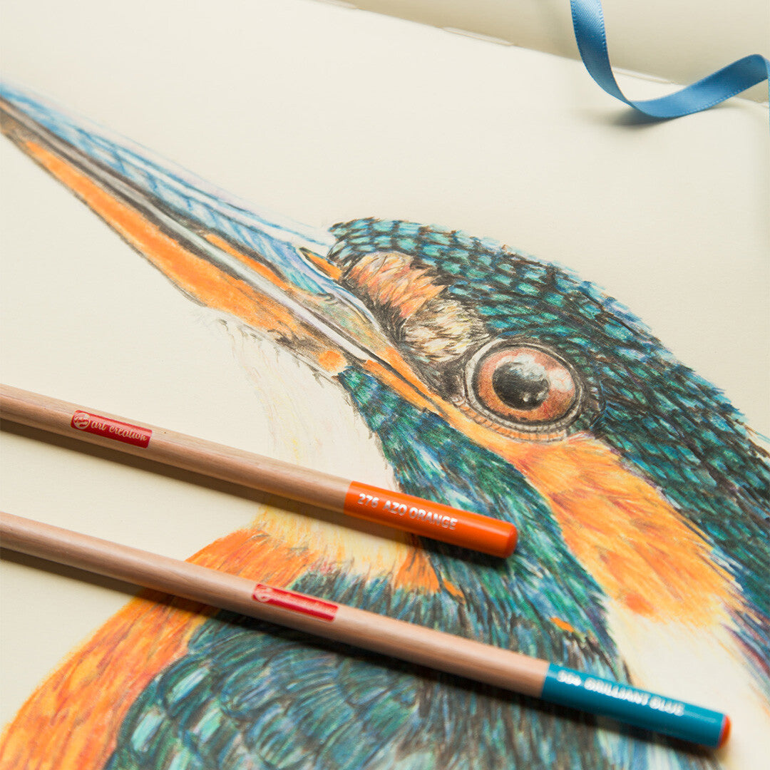 Een gedetailleerde tekening van een ijsvogel, gemaakt met Talens Art Creation kleurpotloden, met twee potloden ernaast.