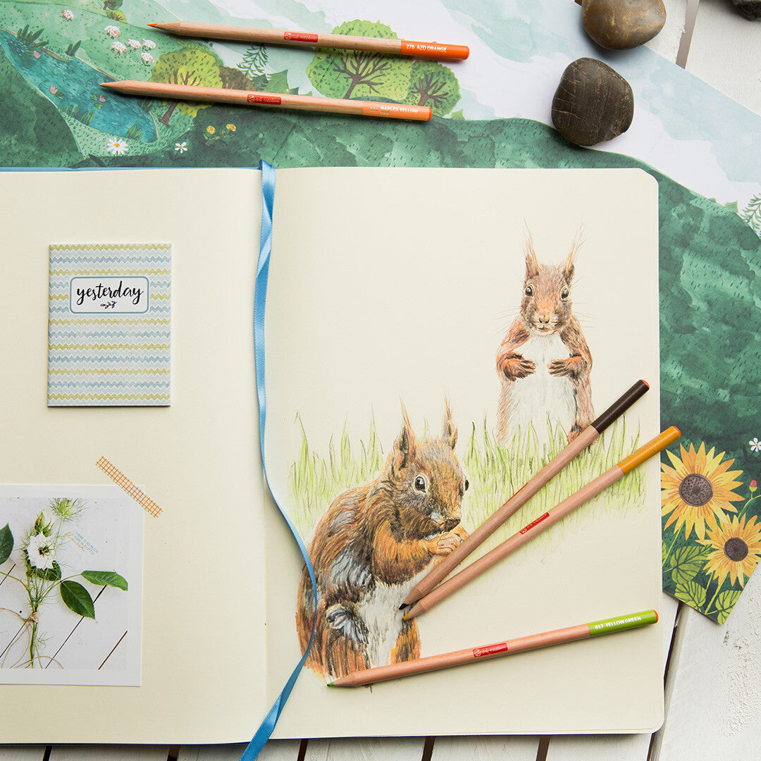 Een open schetsboek met een tekening van twee eekhoorns, gemaakt met Talens Art Creation kleurpotloden.