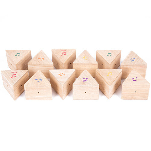 Tickit houten geluiden memorie prismablokken met gekleurde muzieknoten, netjes in twee rijen gerangschikt.