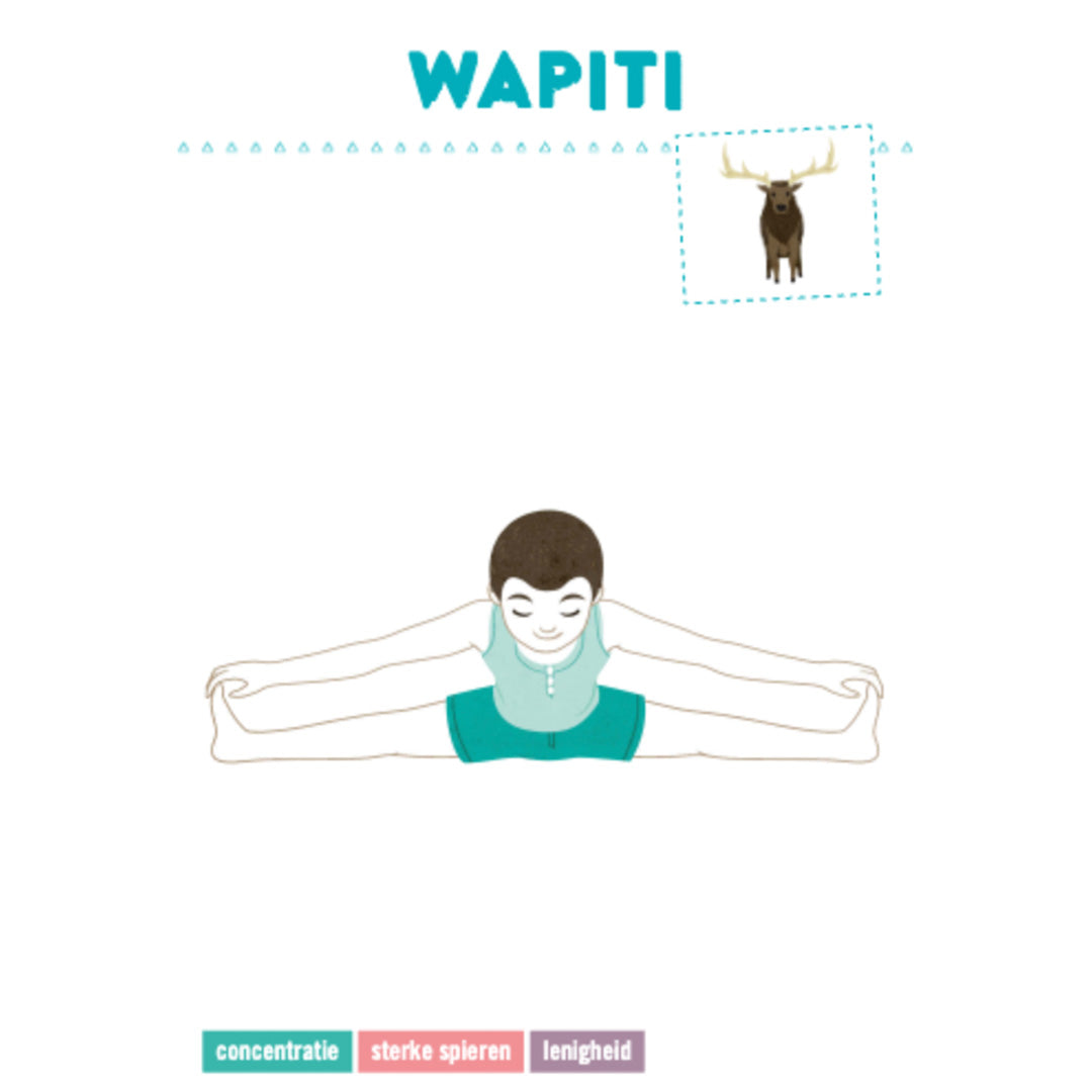 Een yoga kaart voor kinderen met de illustratie van de 'Wapiti' houding.