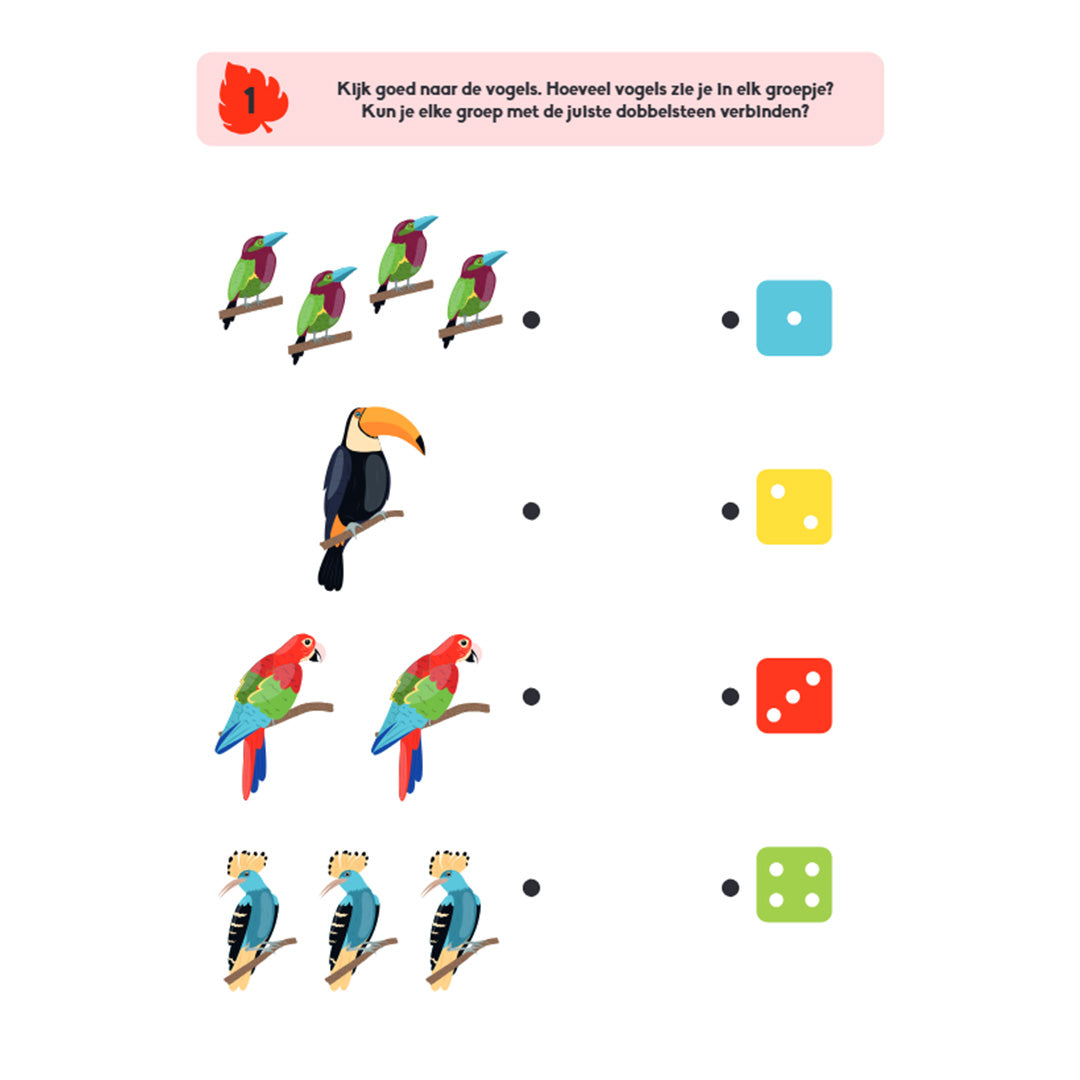Een pagina uit het educatieve spelletjesboek met een telactiviteit waarbij groepen vogels aan dobbelstenen gekoppeld moeten worden.