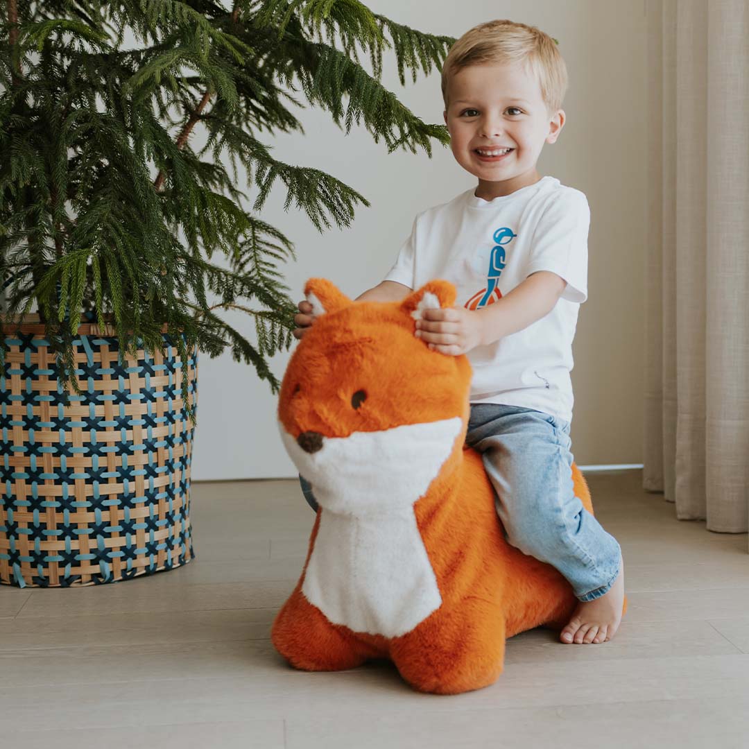 wild & soft animal sauteur renard