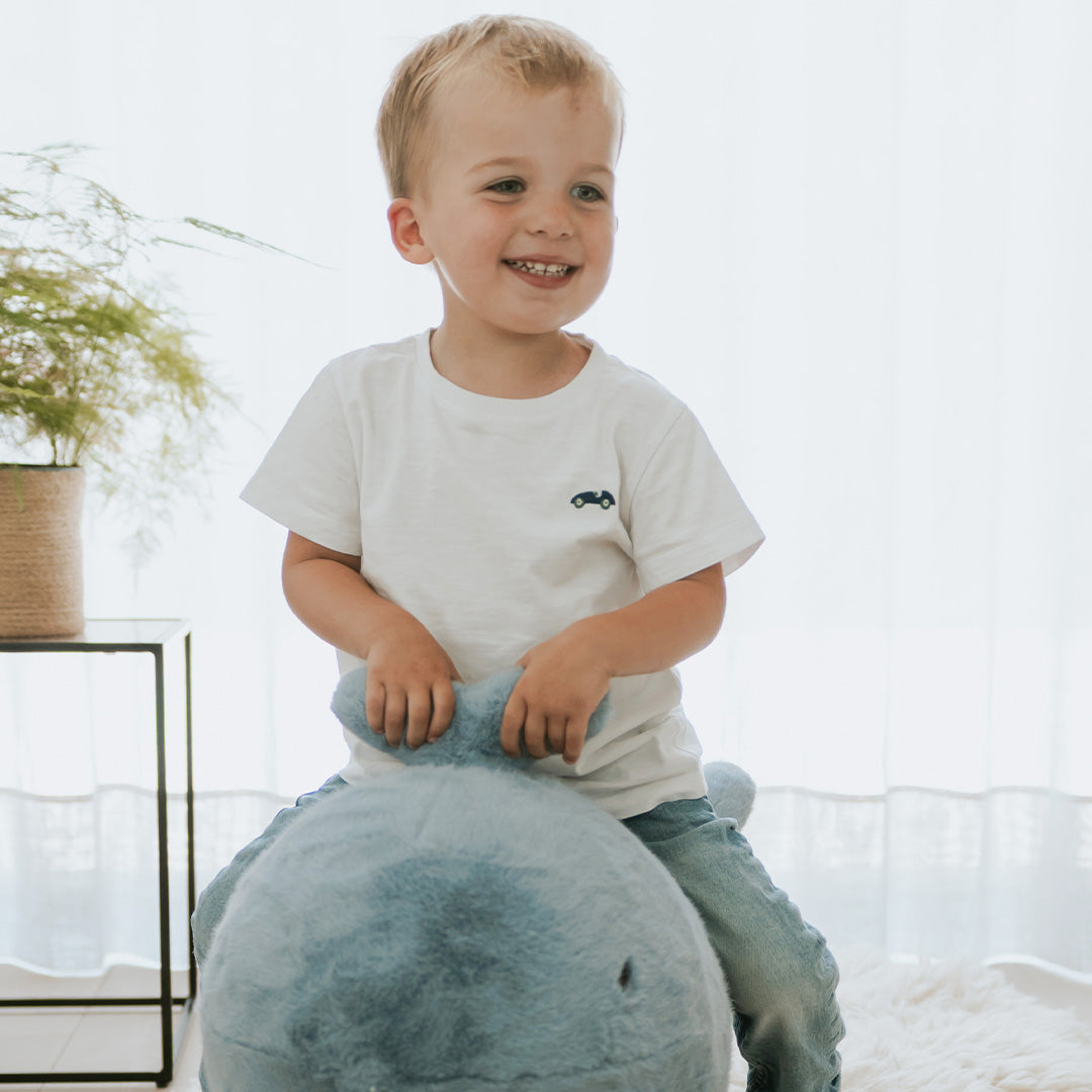wild & soft animal sauteur baleine