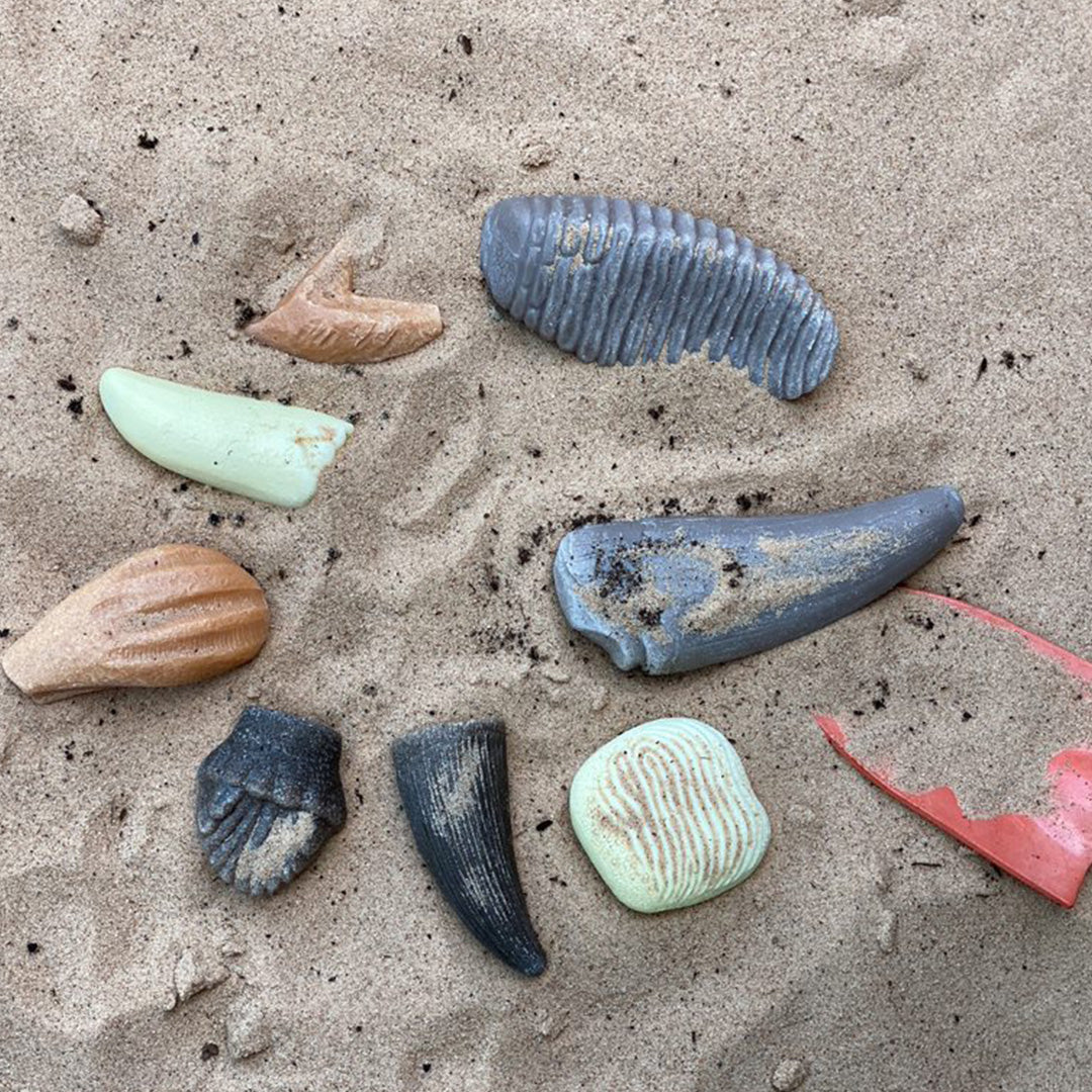 Verschillende prehistorische tanden speelgoedstukken liggen verspreid in het zand.