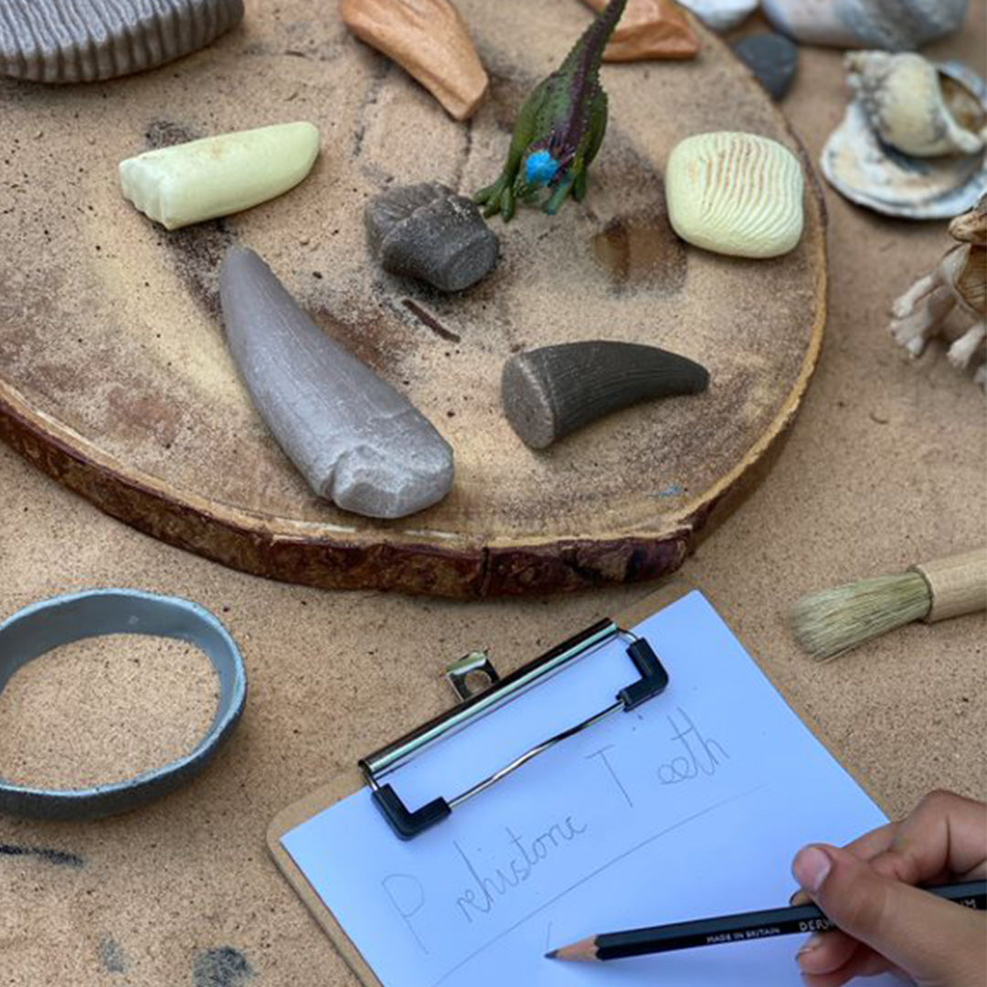 Een kind schrijft op een klembord naast prehistorische tanden speelgoedstukken op een houten schijf in het zand.
