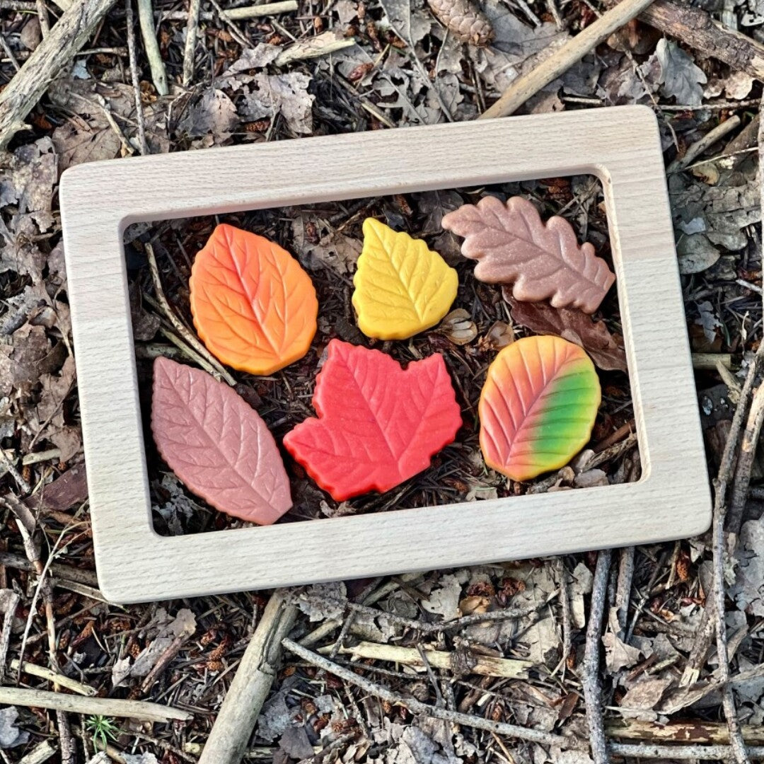 Zes veelkleurige sensorische speelstenen in de vorm van bladeren, liggend in een houten lijst op een ondergrond van herfstbladeren.